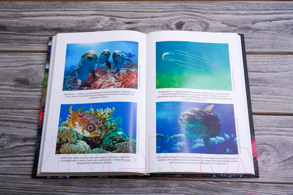 Изображение товара Книга АСТ Пленительный океан (Хофрихтер Р.)