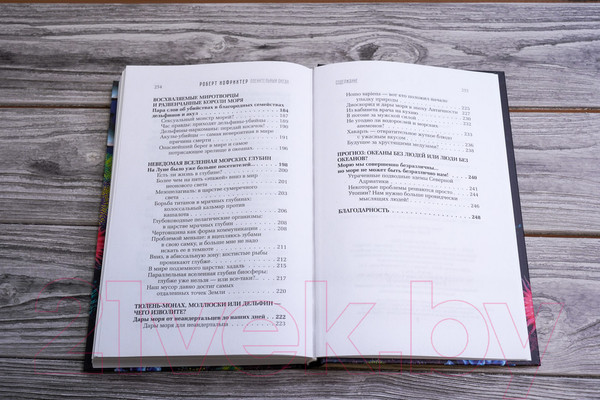 Изображение товара Книга АСТ Пленительный океан (Хофрихтер Р.)