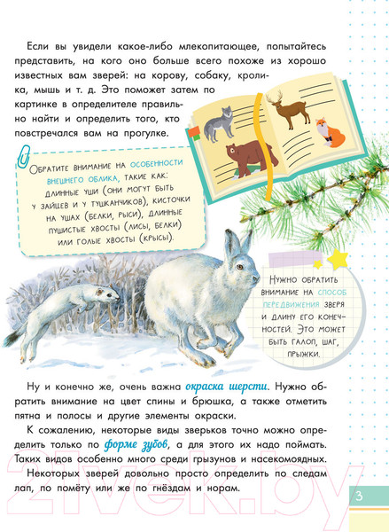 Изображение товара Энциклопедия АСТ Такие разные животные (Мосалов А.А.)