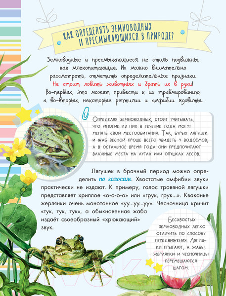 Изображение товара Энциклопедия АСТ Такие разные животные (Мосалов А.А.)