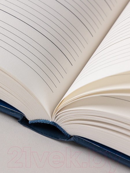 Изображение товара Дневничок Альпина Дневник впечатлений на 5 лет (золото)