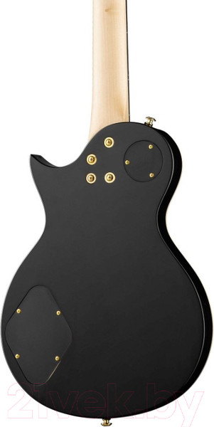 Изображение товара Электрогитара Caraya E232FTBK