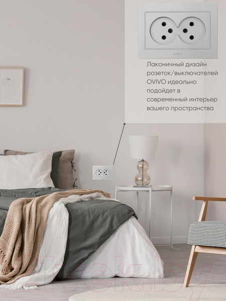 Изображение товара Розетка Ovivo Grano 400-100300-908 (серебристый)