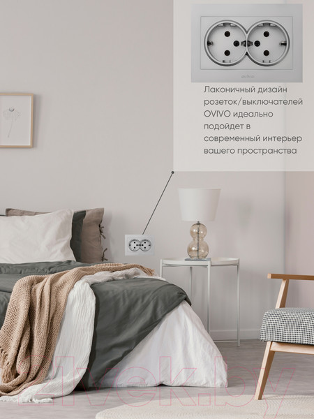 Изображение товара Розетка Ovivo Grano 400-100300-907 (серебристый)