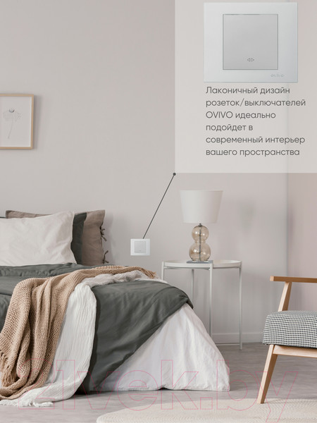 Изображение товара Выключатель Ovivo 600-000210-214 (серебристый)