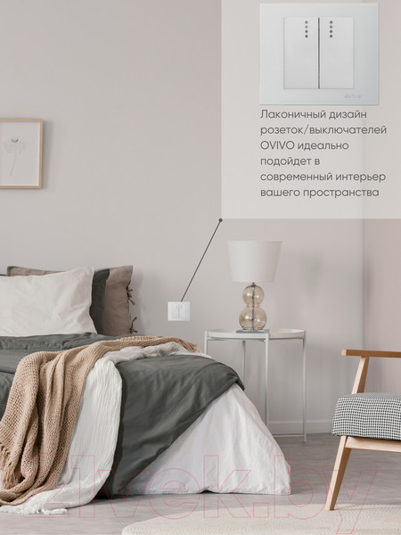 Изображение товара Выключатель Ovivo 600-000210-203 (серебристый)