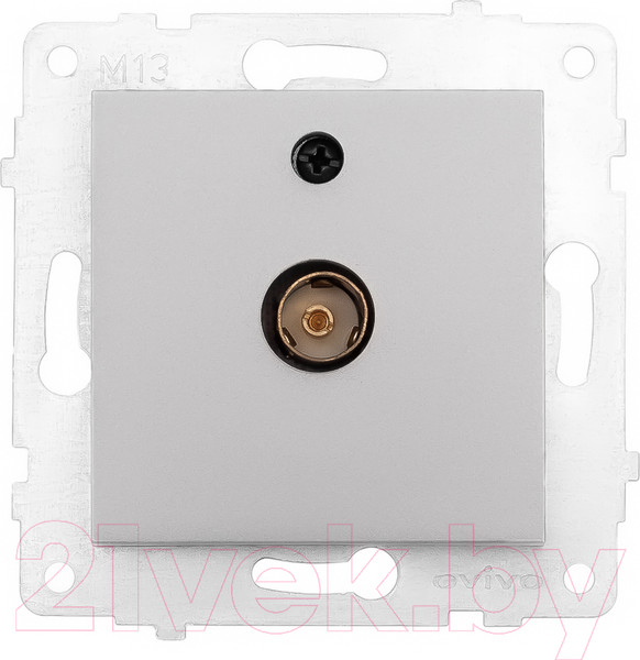 Изображение товара Розетка Ovivo 600-000310-225 (серебристый)