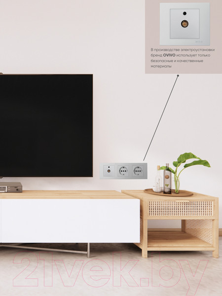 Изображение товара Розетка Ovivo 600-000310-225 (серебристый)