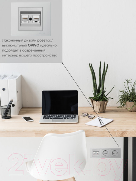 Изображение товара Розетка Ovivo 600-000310-230 (серебристый)
