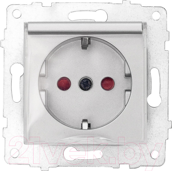 Изображение товара Розетка Ovivo 600-000310-243 (серебристый)