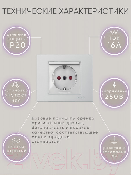 Изображение товара Розетка Ovivo 600-000310-243 (серебристый)