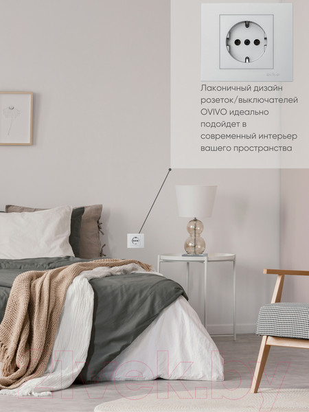 Изображение товара Розетка Ovivo 600-000310-217 (серебристый)