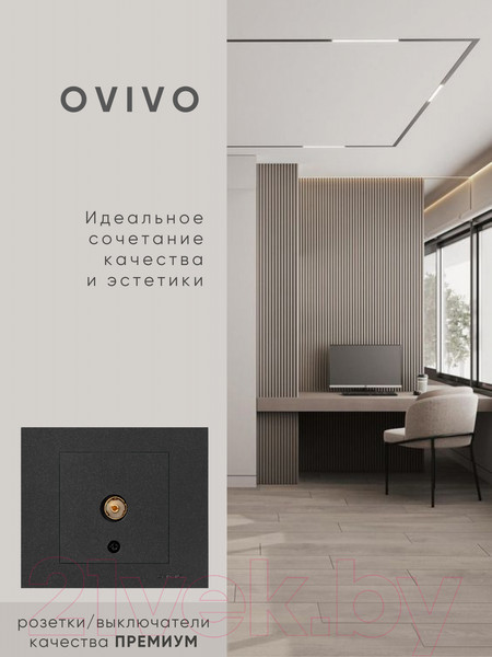 Изображение товара Розетка Ovivo 600-000317-225 (черный)