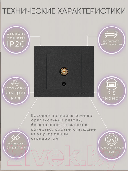 Изображение товара Розетка Ovivo 600-000317-225 (черный)