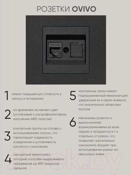 Изображение товара Розетка Ovivo 600-000317-229 (черный)