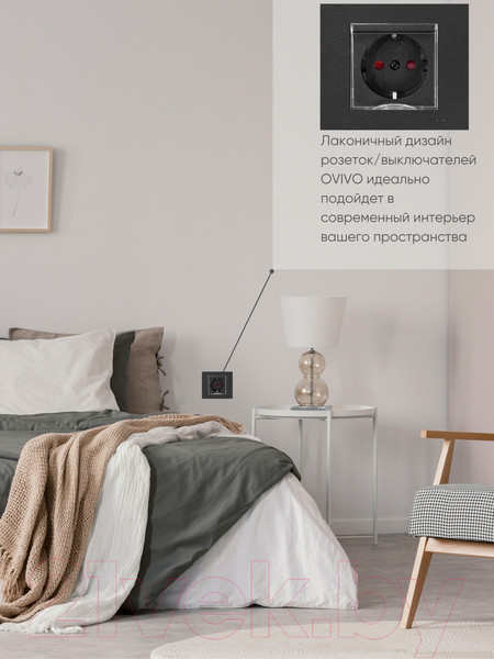 Изображение товара Розетка Ovivo 600-000317-243 (черный)