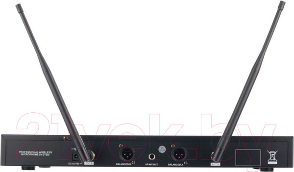 Изображение товара Радиосистема микрофонная LAudio LS-Q2-2M