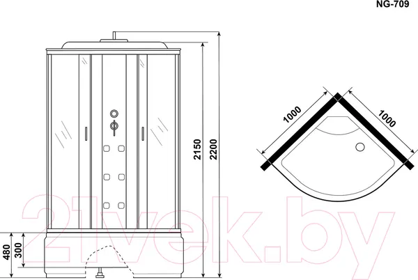 Изображение товара Душевая кабина Niagara NG-709-01 100x100x220