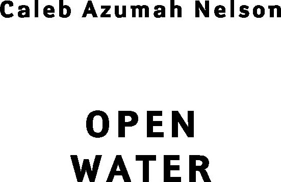 Изображение товара Книга Inspiria В омут с головой (Нельсон Калеб Азума)
