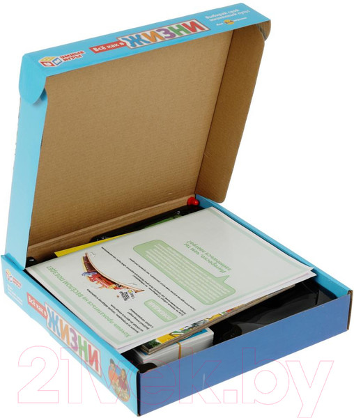 Изображение товара Настольная игра Умные игры Все как в жизни / 2105K637-R1