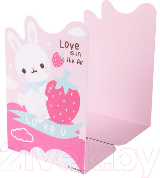 Изображение товара Ограничитель для книг Darvish DV-13914 (2шт)