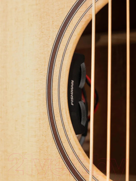 Изображение товара Электроакустическая гитара Parkwood S26-GT (с чехлом)