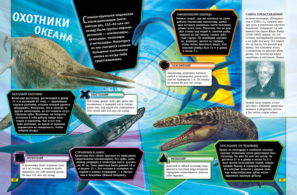 Изображение товара Энциклопедия Эксмо Животные. Книга юного эрудита, твердая обложка (де ла Бедуайер Камилла)