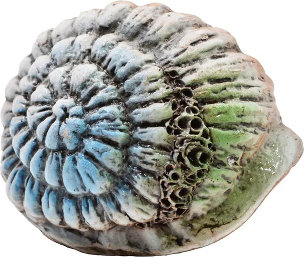 Изображение товара Декорация для аквариума ZooExpress Иж Раковина Ш6