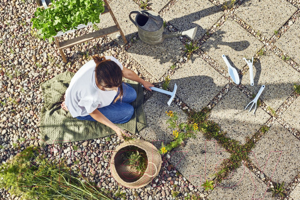 Изображение товара Рыхлитель Cellfast Pastel 42-024