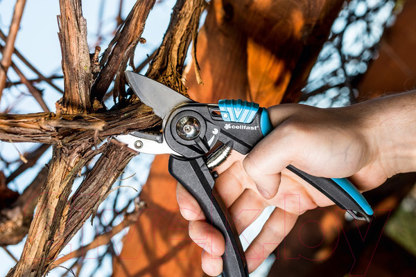 Изображение товара Секатор механический Cellfast Ergo 41-021