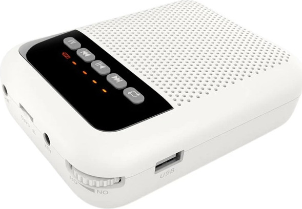 Изображение товара Портативная акустика LAudio WS-VA030