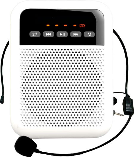 Изображение товара Портативная акустика LAudio WS-VA030