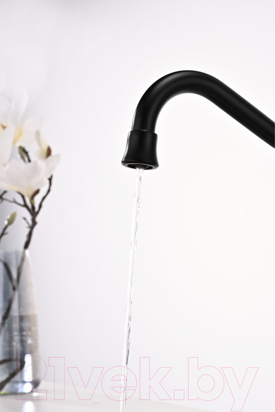 Изображение товара Смеситель Paulmark Retro Re213226-401 (антрацит)