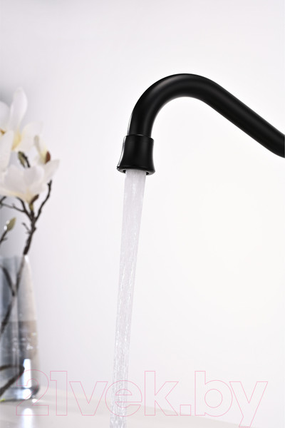 Изображение товара Смеситель Paulmark Retro Re213226-401 (антрацит)