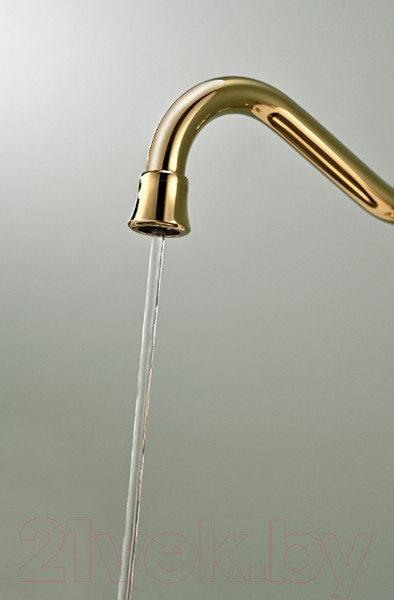 Изображение товара Смеситель Paulmark Retro Re213226-G (золото)