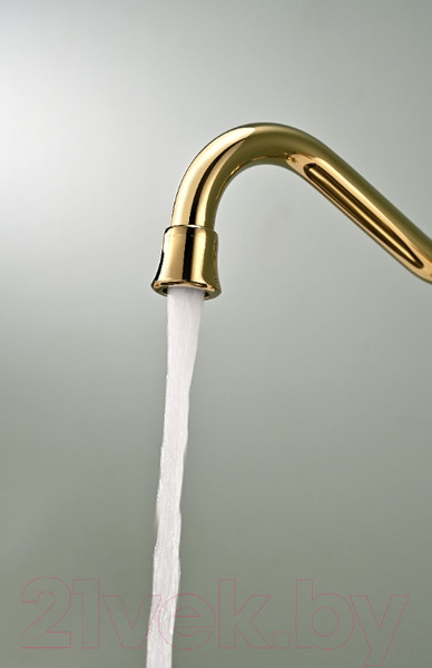 Изображение товара Смеситель Paulmark Retro Re213226-G (золото)