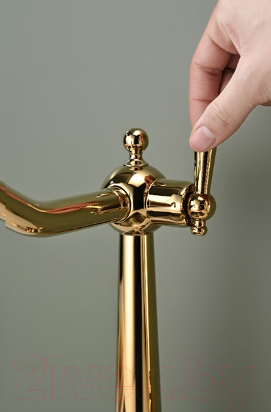 Изображение товара Смеситель Paulmark Retro Re213226-G (золото)