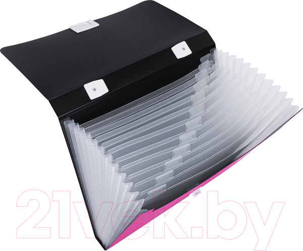 Изображение товара Папка-портфель Deli Rio / 38126 (розовый)