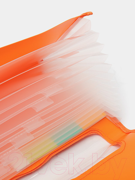 Изображение товара Папка для бумаг Deli Rio / 38128 (оранжевый)