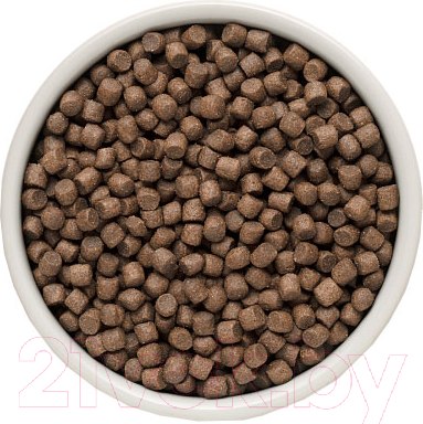 Изображение товара Сухой корм для собак Grandorf Dog 4 Meat Probiotic Mini Breeds (1кг)