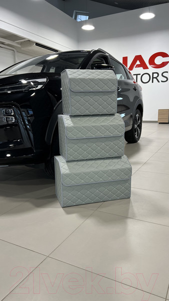 Изображение товара Органайзер автомобильный Alicosta 0023_AC_E (р.50, экокожа/серый)