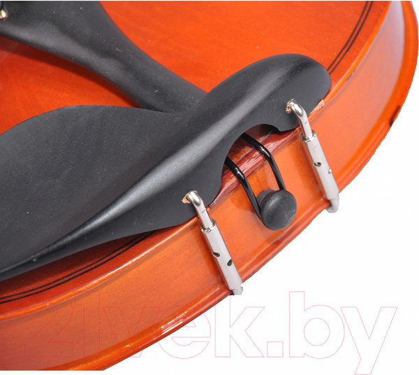 Изображение товара Скрипка Aileen VG001-HP 1/2 со смычком в футляре