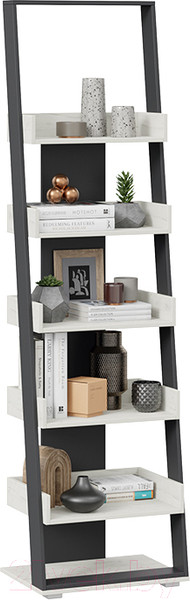 Изображение товара Стеллаж ТриЯ Тип 15 (дуб крафт белый/графит серый)