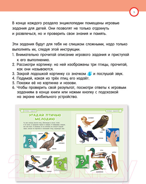 Изображение товара Энциклопедия АСТ Большая энциклопедия. 501 звук и 1001 иллюстрация (Куцаева Н.)