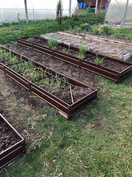 Изображение товара Грядка модульная Формула качества Оцинкованная 4000x1000x200 (шоколадно-коричневый)