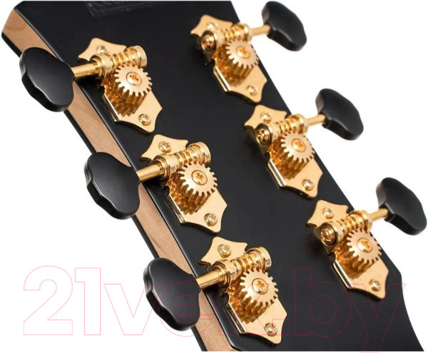 Изображение товара Электроакустическая гитара Cort Gold-Passion-WCASE-NAT (с чехлом)