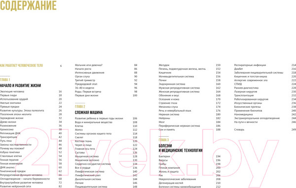 Изображение товара Энциклопедия Махаон Тайны тела человека (Сориано Д.)