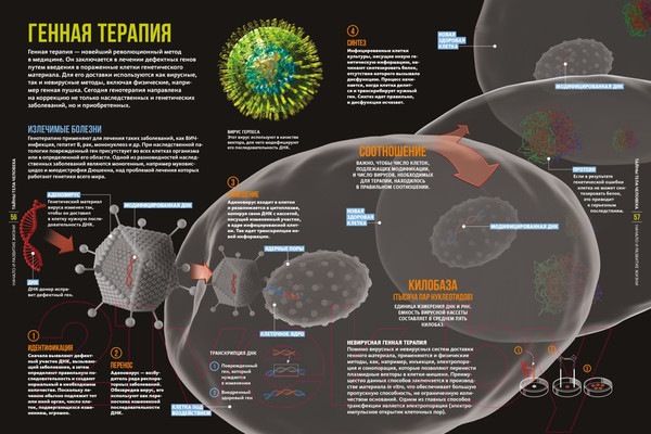 Изображение товара Энциклопедия Махаон Тайны тела человека (Сориано Д.)