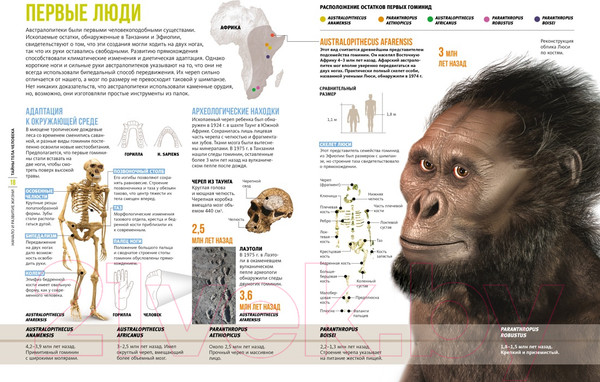 Изображение товара Энциклопедия Махаон Тайны тела человека (Сориано Д.)