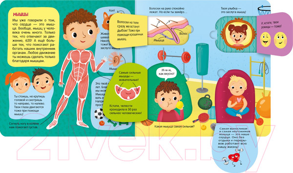 Изображение товара Развивающая книга Мозаика-Синтез Книжки с окошками. Тело человека / МС12332